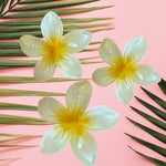 Hair Pin | Plumeria - Sweet Sweet Honey Hawaii