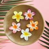 Plumeria Claw Clip