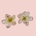 Plumeria Mini Clip: Clear/Green - Sweet Sweet Honey Hawaii